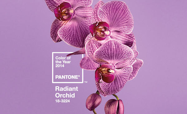 pantone-color-of-the-year-2014-radiant-orchid