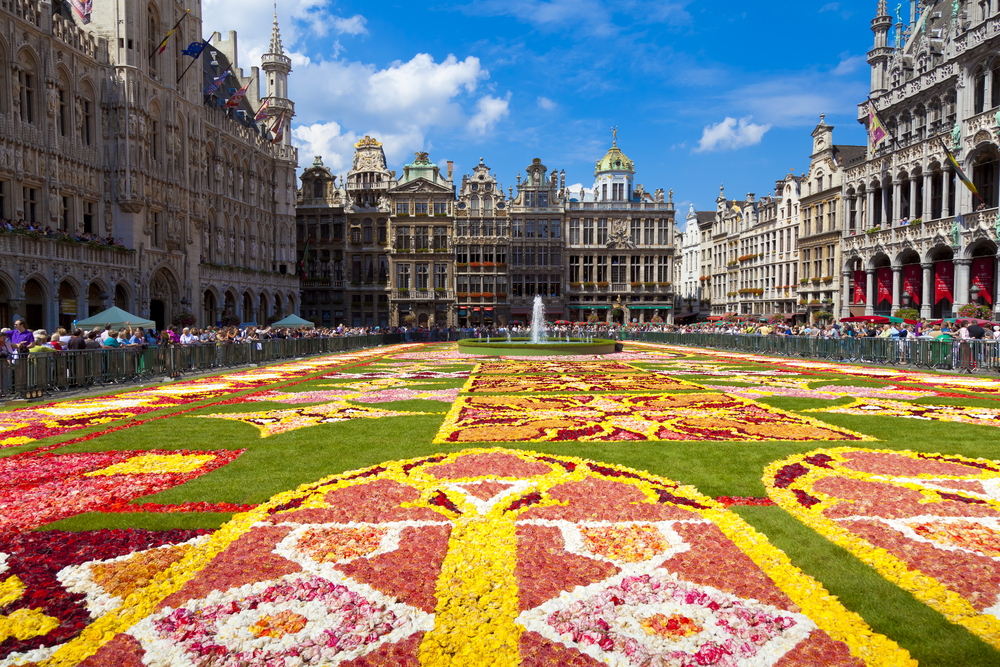 Flower Carpet in Belgium