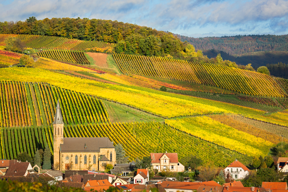 Thanksgiving in Germany