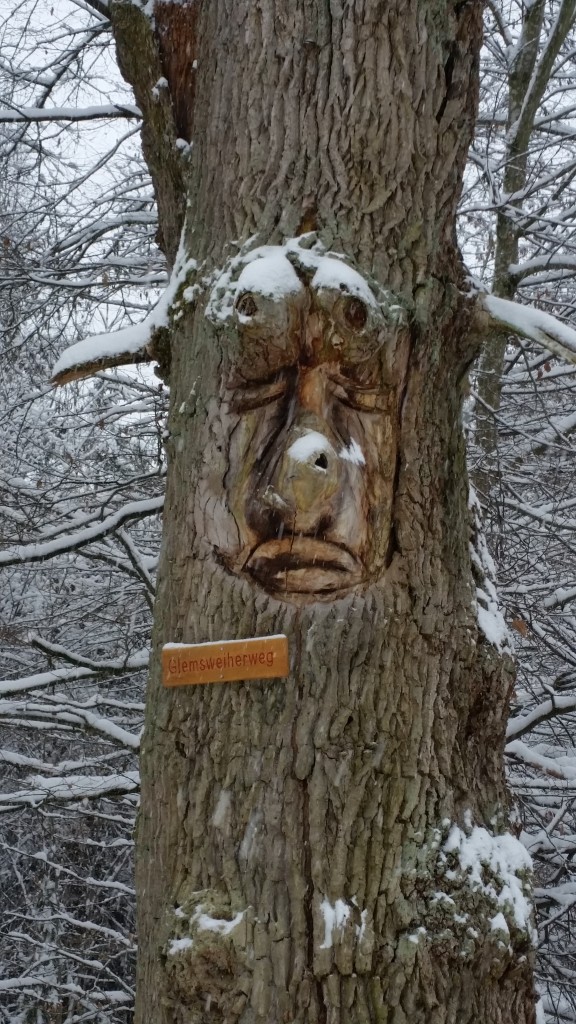 Stu tree carve