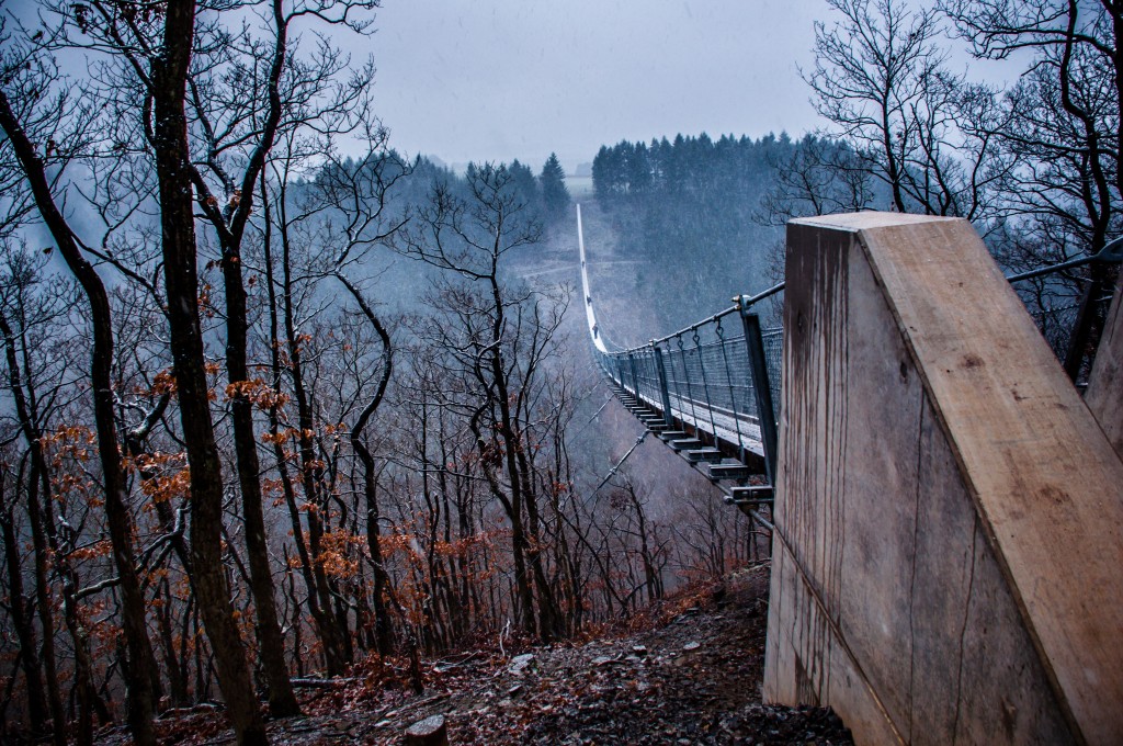 -0407 Gemma Geierlay Germany’s Longest Suspension Bridge