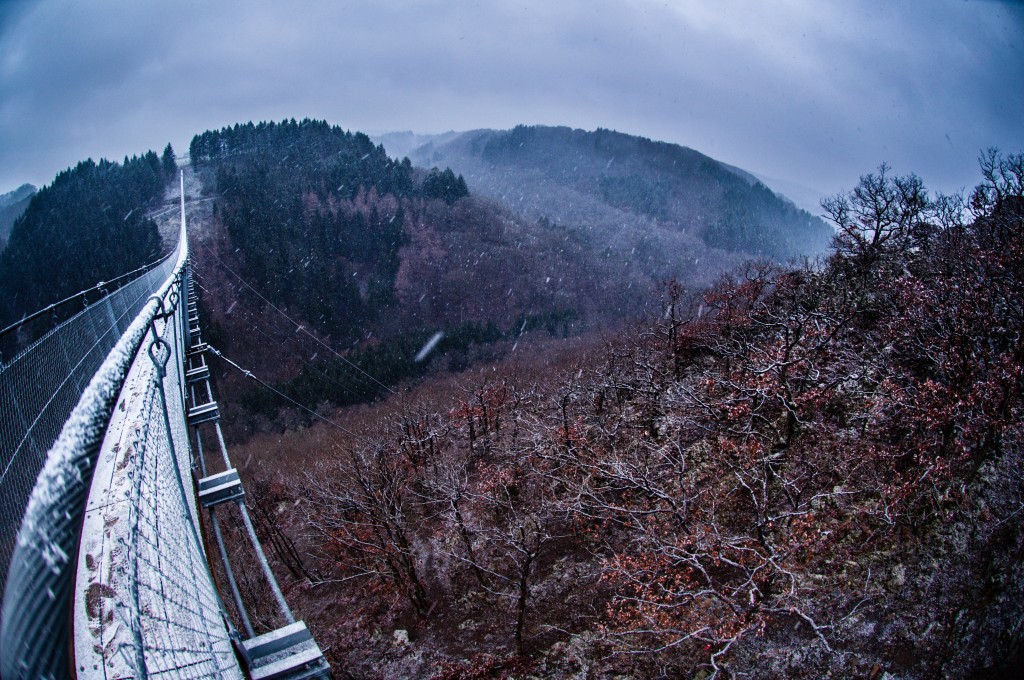 -0416 Gemma Geierlay Germany’s Longest Suspension Bridge