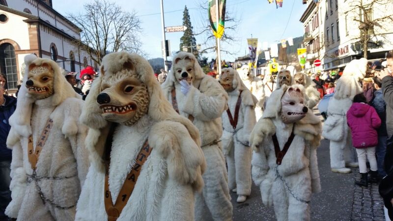 145410 dog costumes Gemma Schramberg Fastnacht Boat Race and Parade