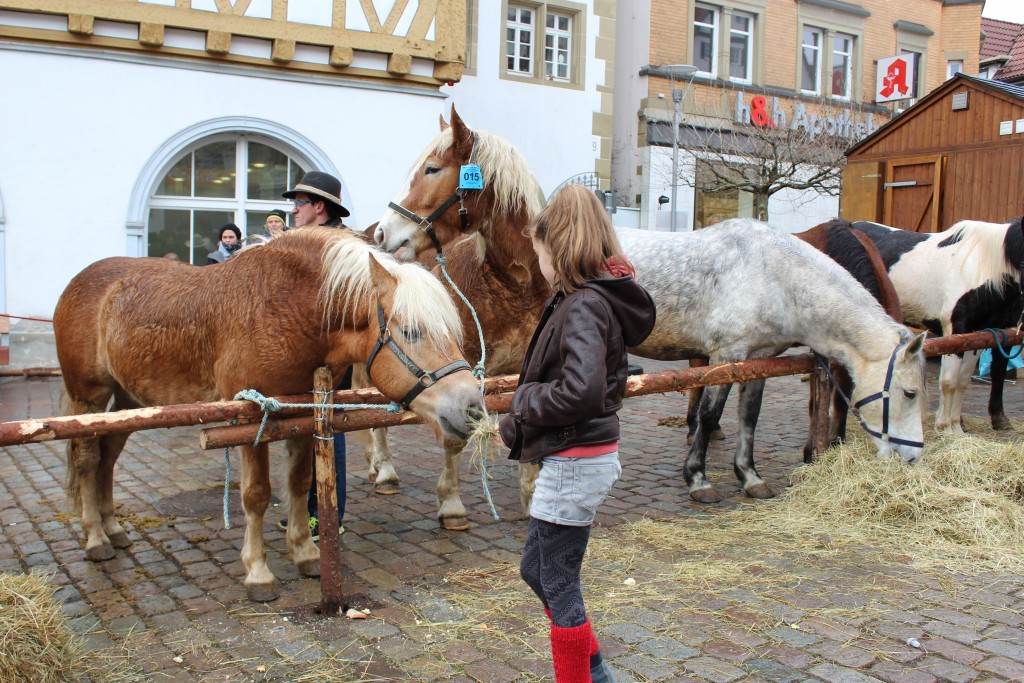 Girl on horse Wendy Leonberg Horse Market 16