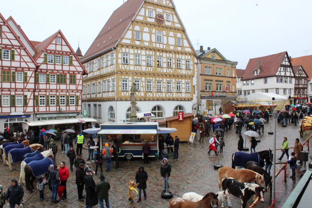 Main Square Wendy Leonberg Horse Market 16