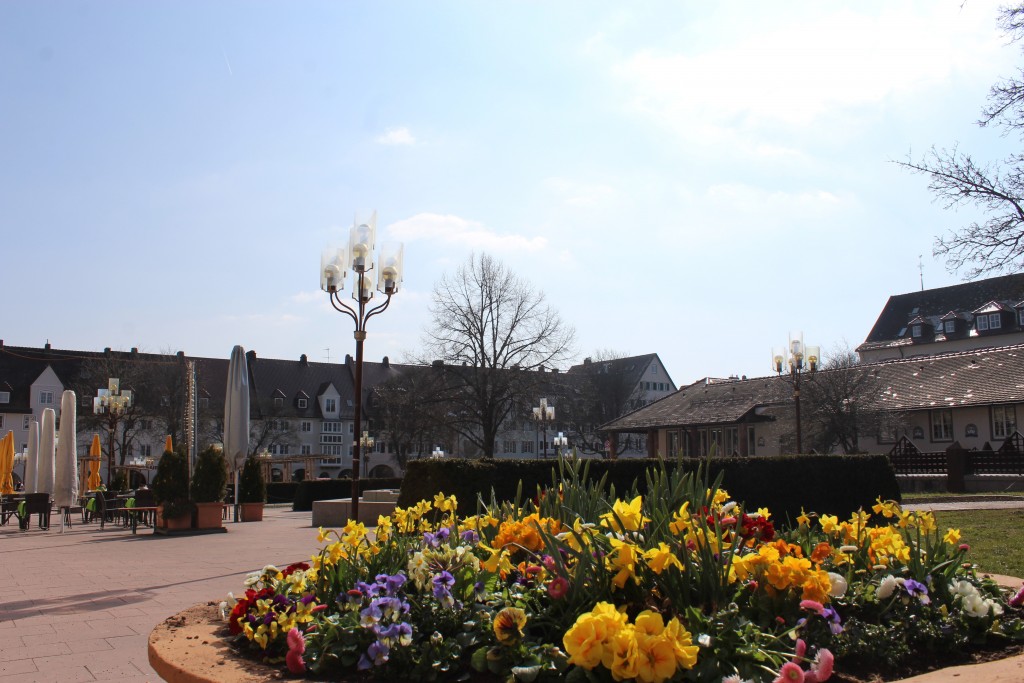 Freudenstadt square Wendy Pig meat and Beer 16