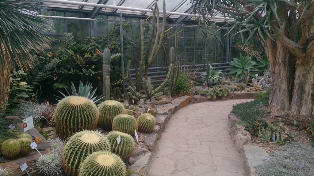 Botanical Garden interior Kelly Bonn Beethoven’s Birthplace 16