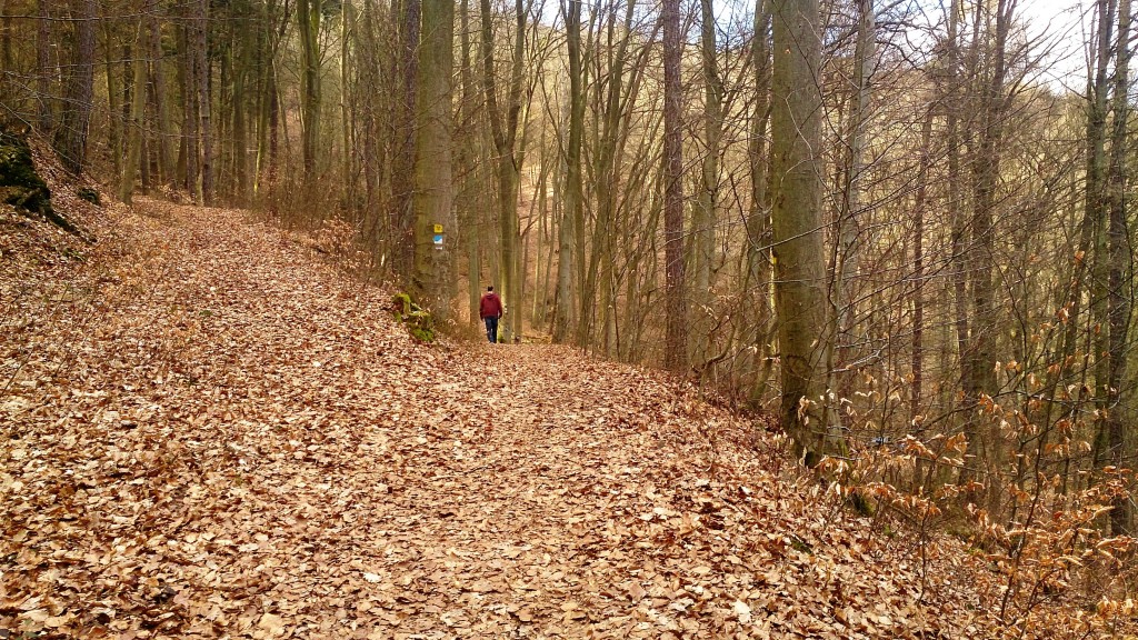 Hiking path between castles Kelly Wolfstein A Short Daytrip from Kaiserslautern 16