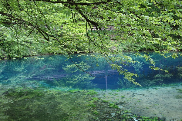 blue pool 2 Wendy The Blue Waters of Blaubeuren June 16